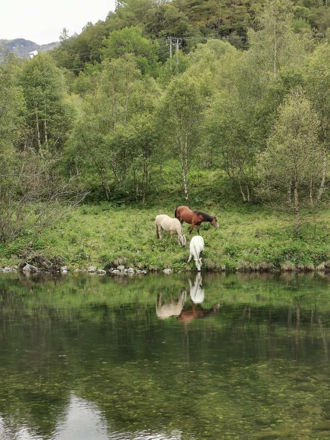 Steinklepp Camping Övre Övre Kvamme 外观 照片